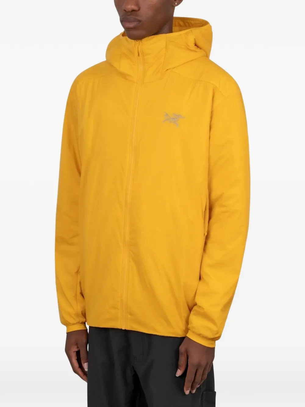 Arc'teryx Jack met capuchon Geel