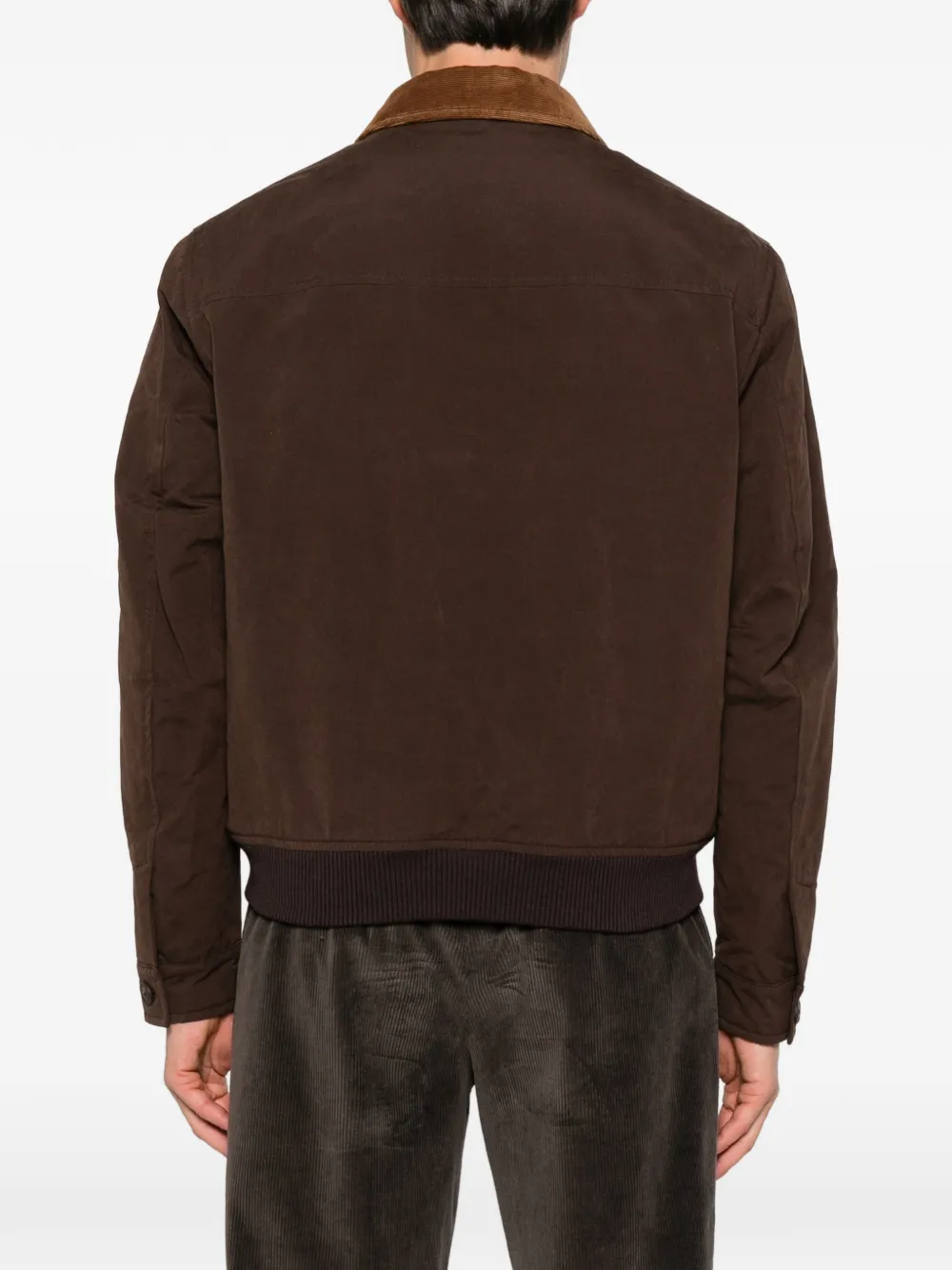 Fay corduroy-collar jacket Bruin