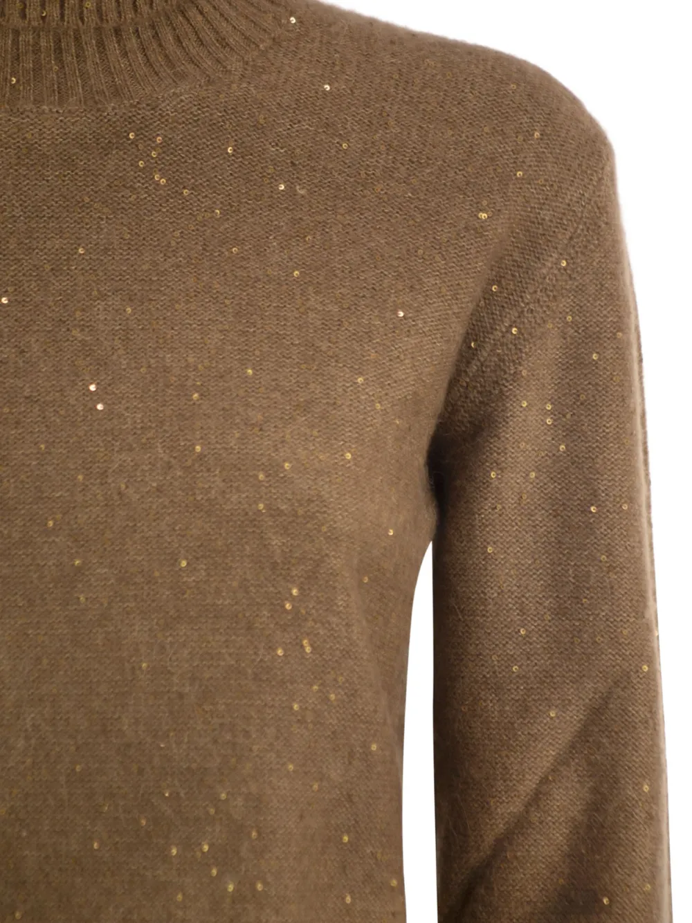 Fabiana Filippi sequin-embellished turtleneck sweater Bruin