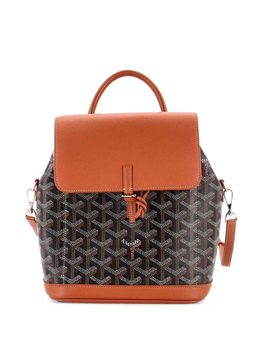 Goyard Pre-Owned Alpin Coated Canvas Mini backpack - Nero