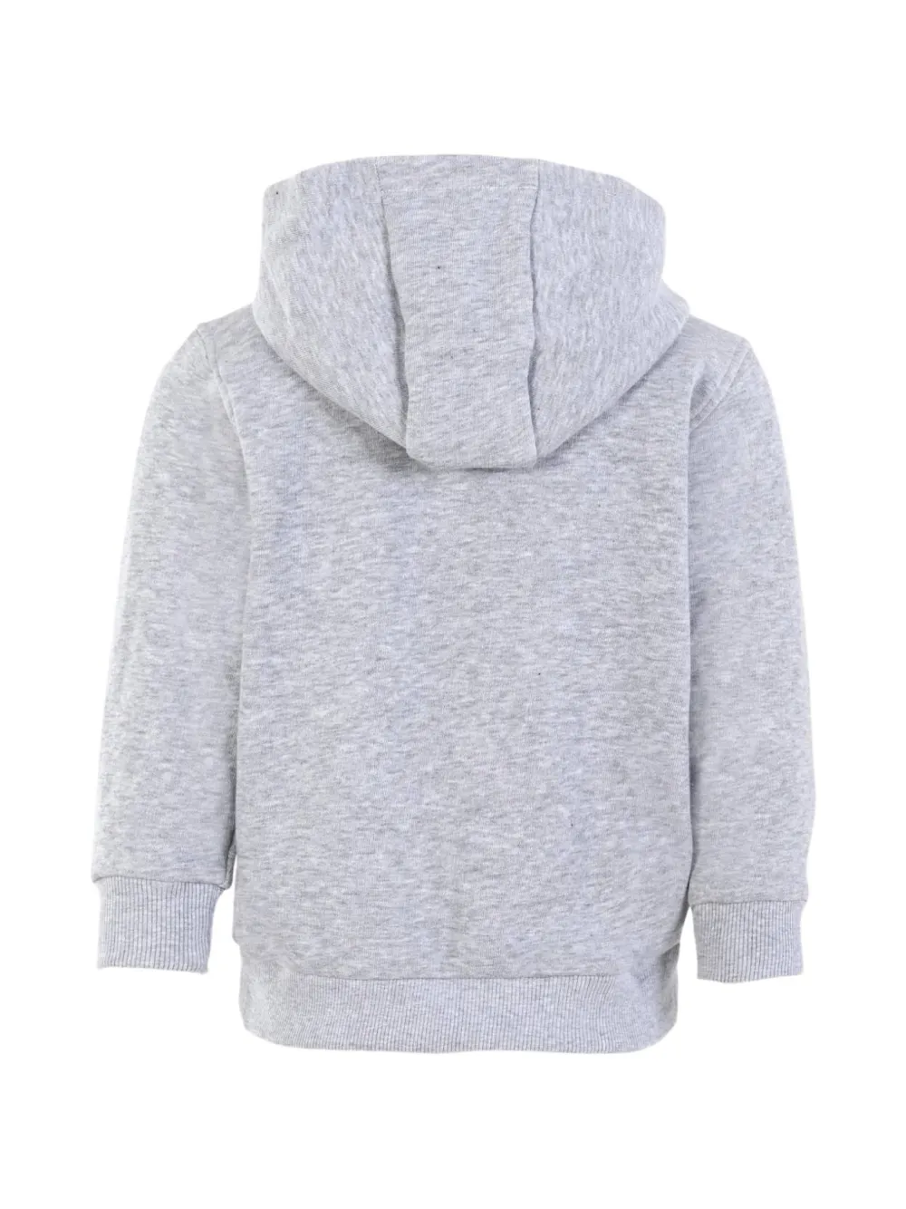 Lacoste Kids Hoodie met rits Grijs