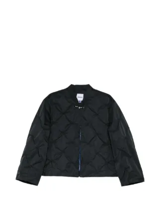 Ader Error