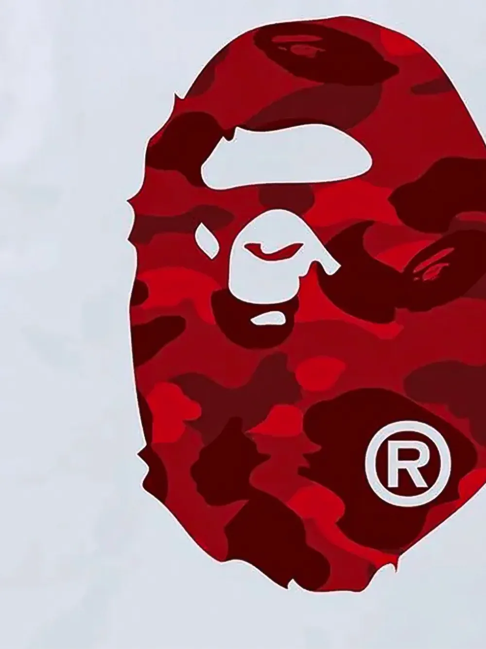 A BATHING APE T-shirt met print Wit