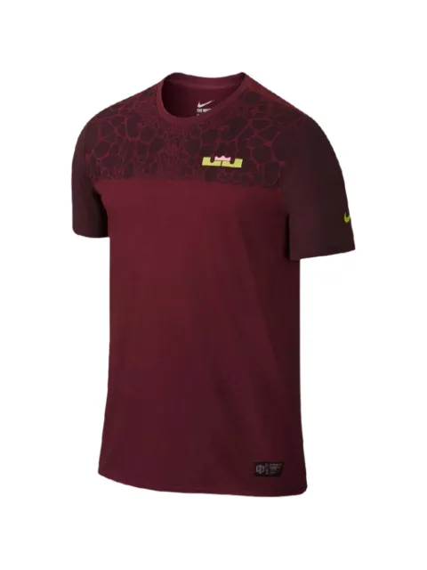 Nike LeBron James Dri-Fit T-shirt
