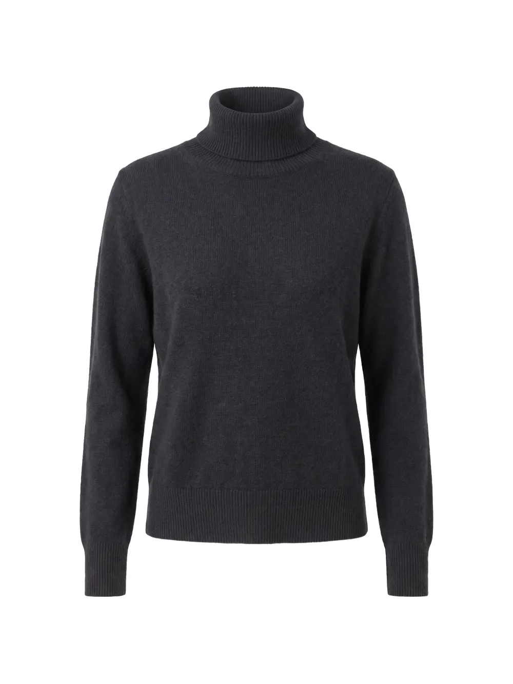 Not Shy roll-neck cashmere sweater