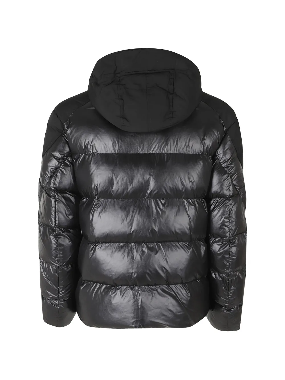 Blauer Gevoerd jack met capuchon Zwart