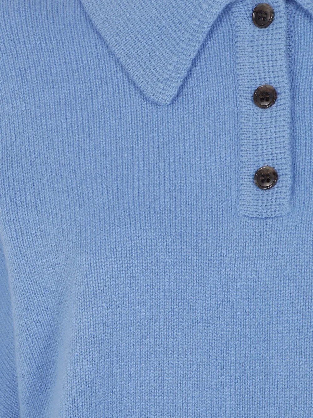 Lisa Yang Kasjmieren trui met polokraag Blauw