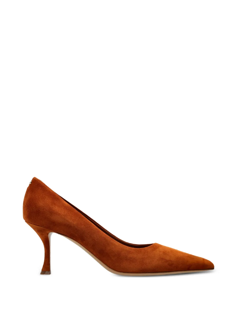 Ferragamo Elydea pumps Bruin