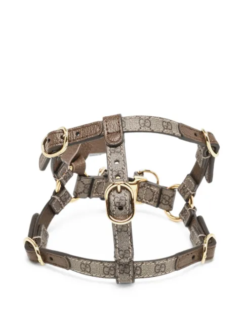 Gucci Pre-Owned logo-detail pet harness