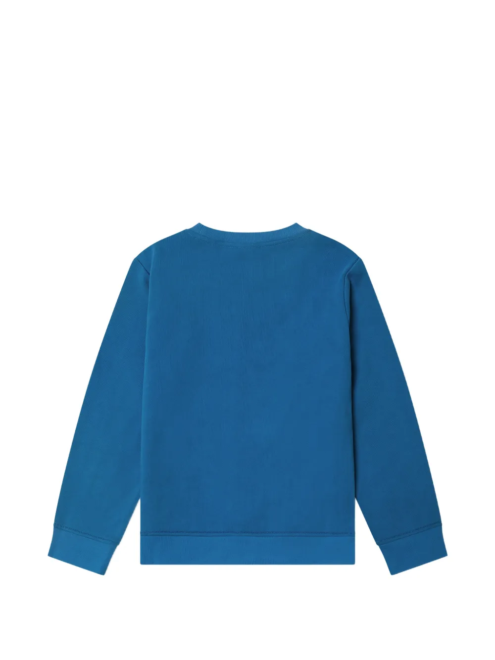 Stella McCartney Kids Sweater met monsterprint Blauw