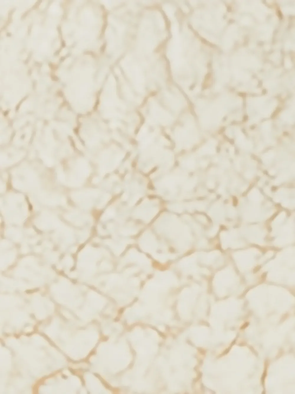 Stella McCartney Kids Jack van imitatiebont met knoopsluiting Beige