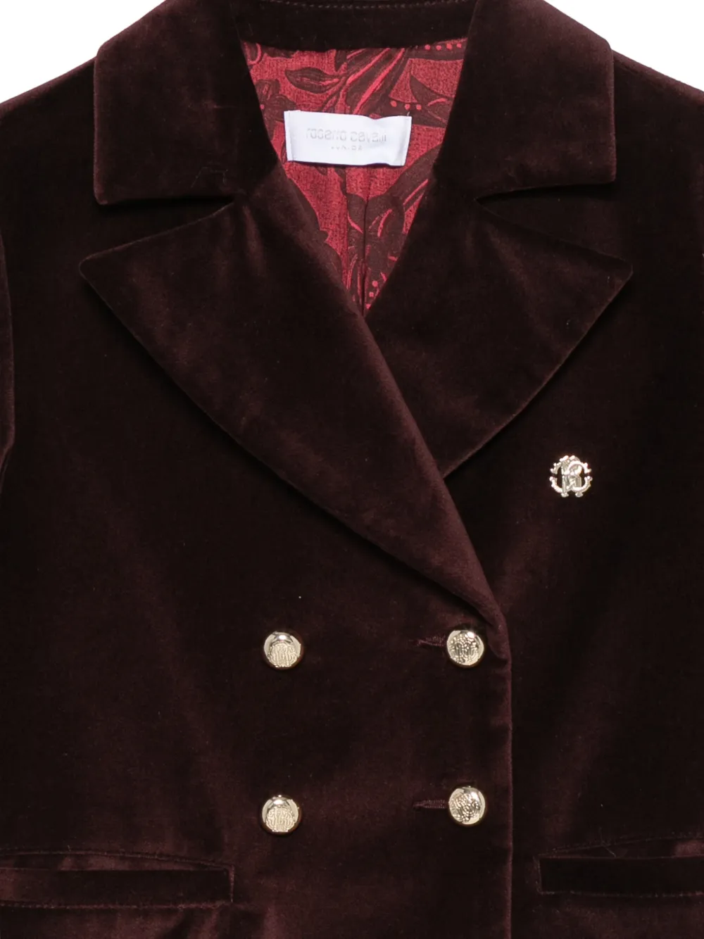 Roberto Cavalli Junior Fluwelen blazer met dubbele rij knopen Rood