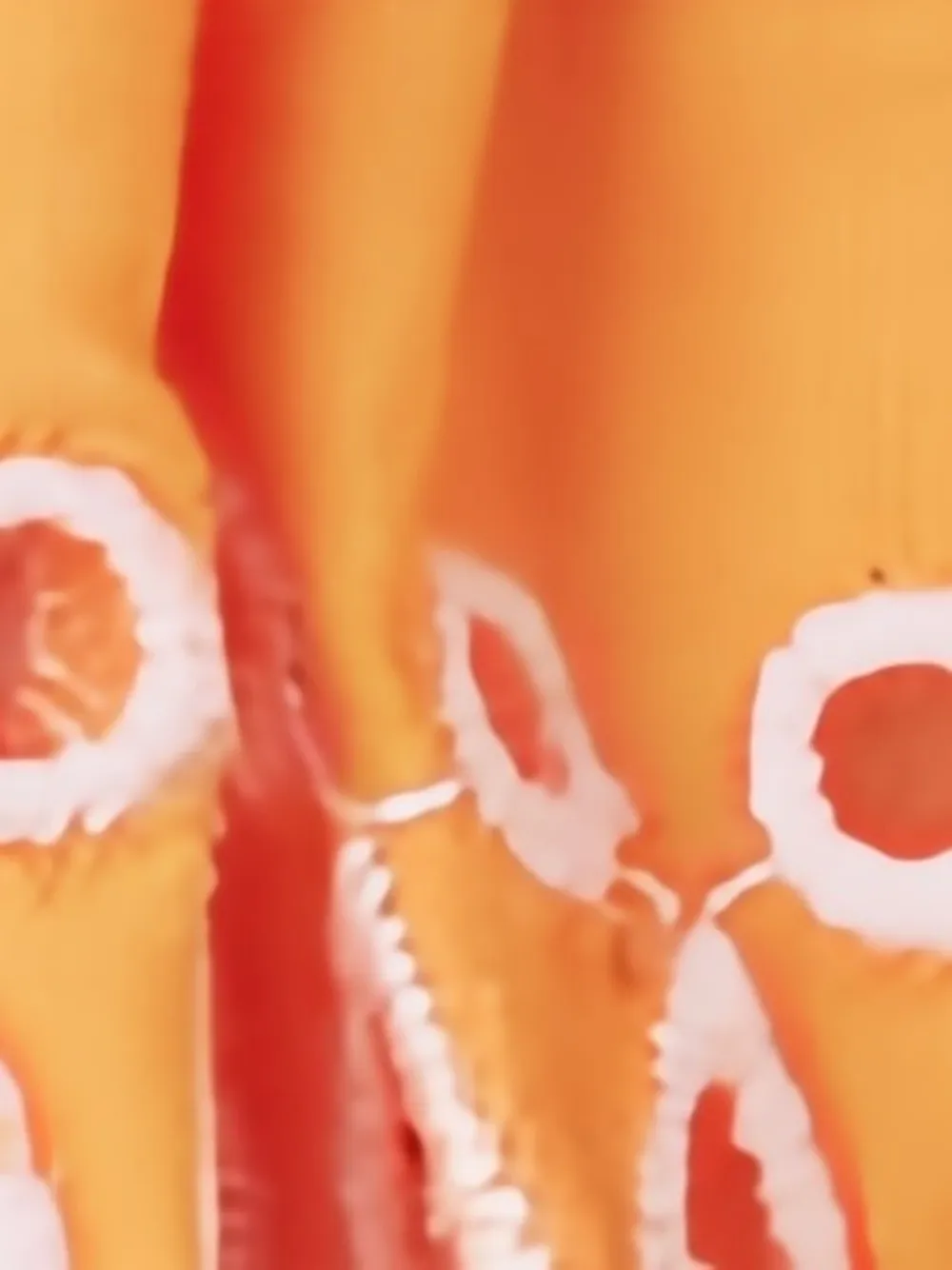 Stella McCartney Kids Broderie anglaise shorts Oranje