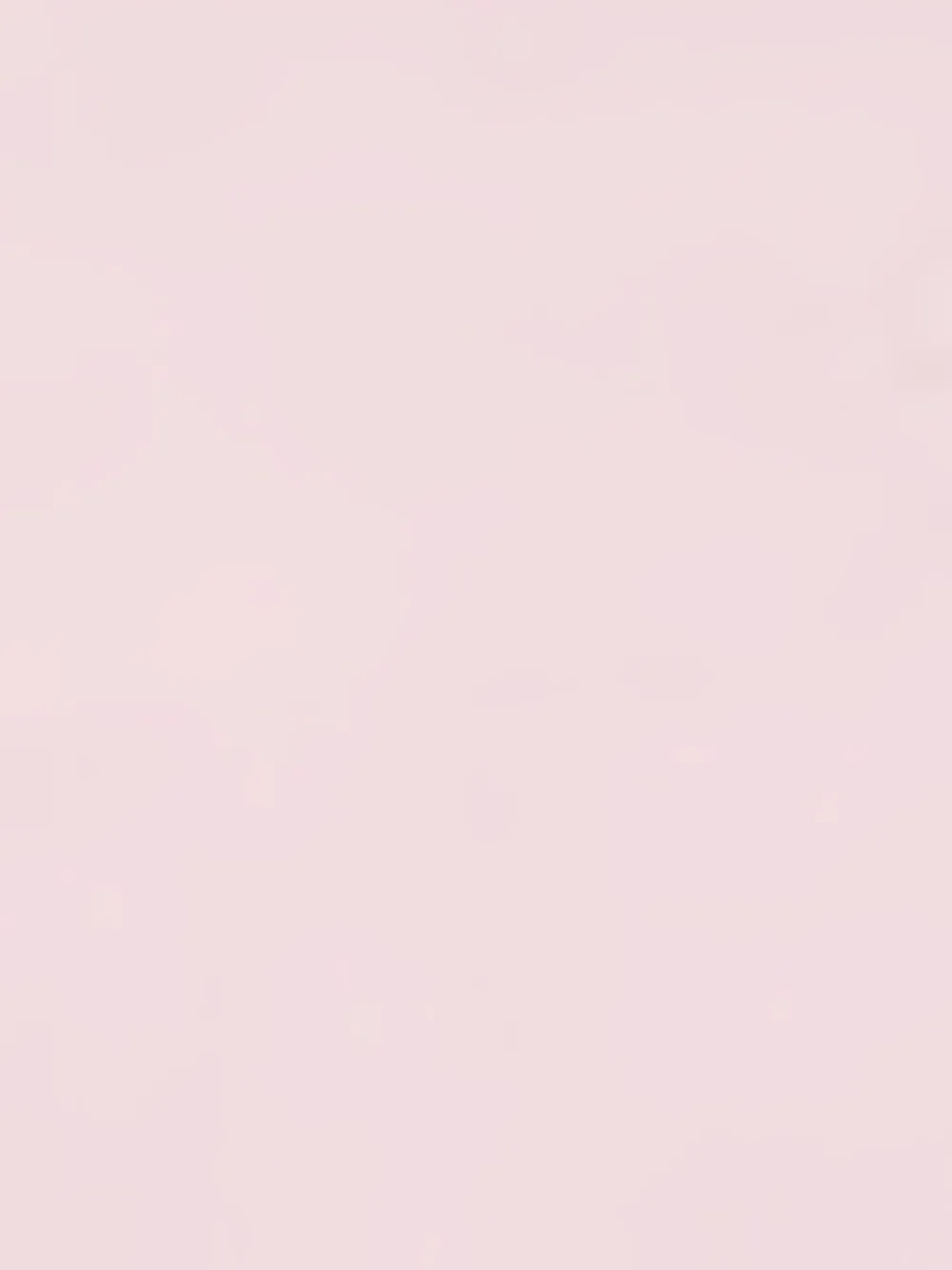 Stella McCartney Kids T-shirt met bloemenprint Roze