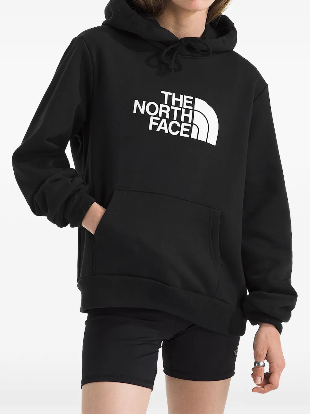 The North Face Evolution Half Dome hoodie · L