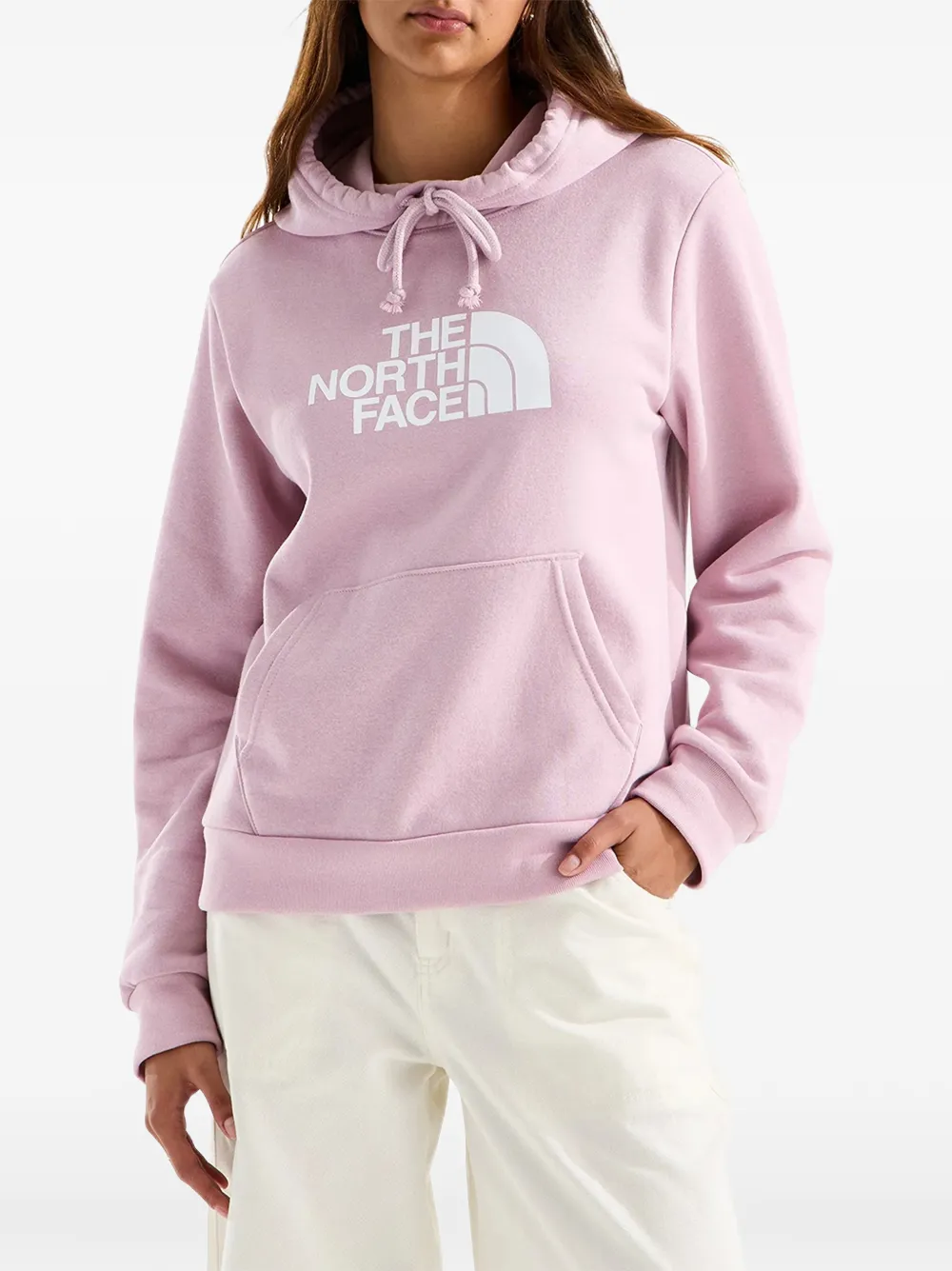 The North Face Evolution Half Dome hoodie