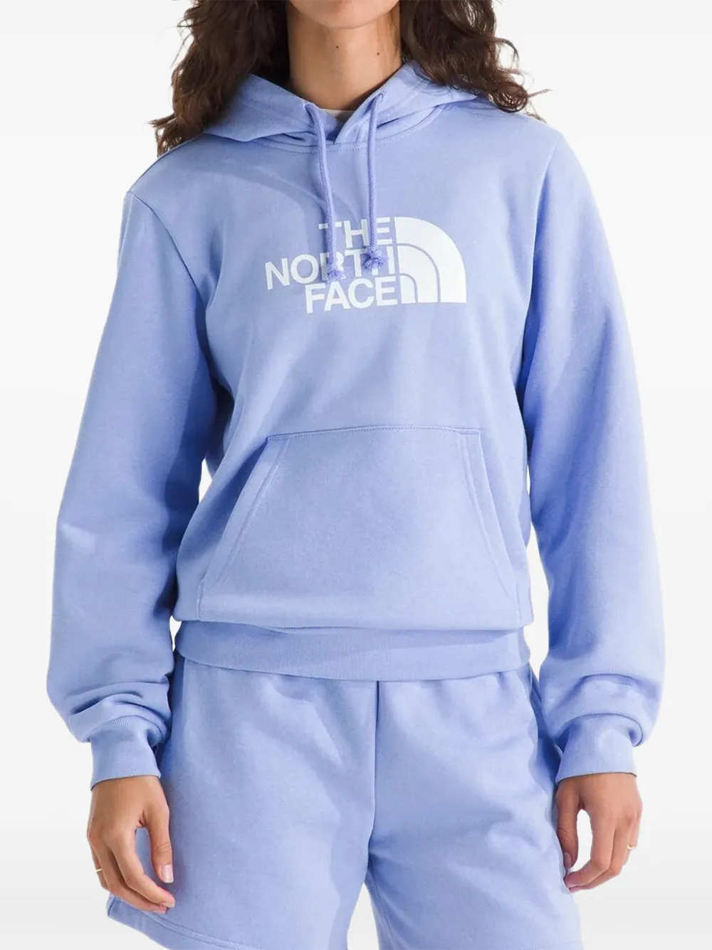 The North Face Evolution Half Dome hoodie