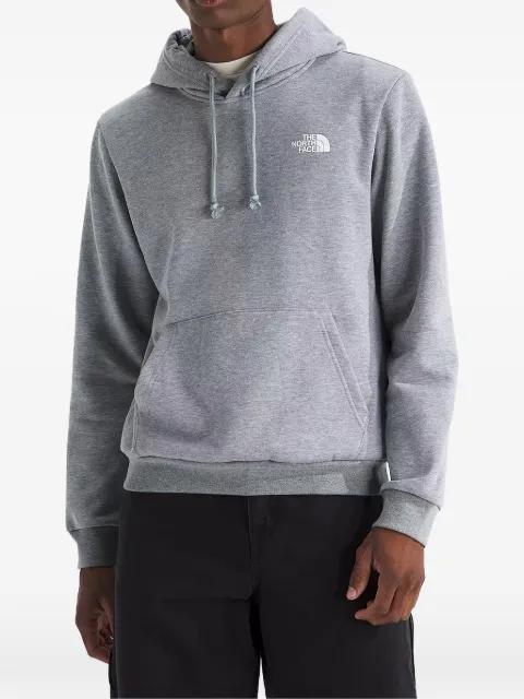 The North Face Never Stop Exploring® Evolution Box NSE regular hoodie