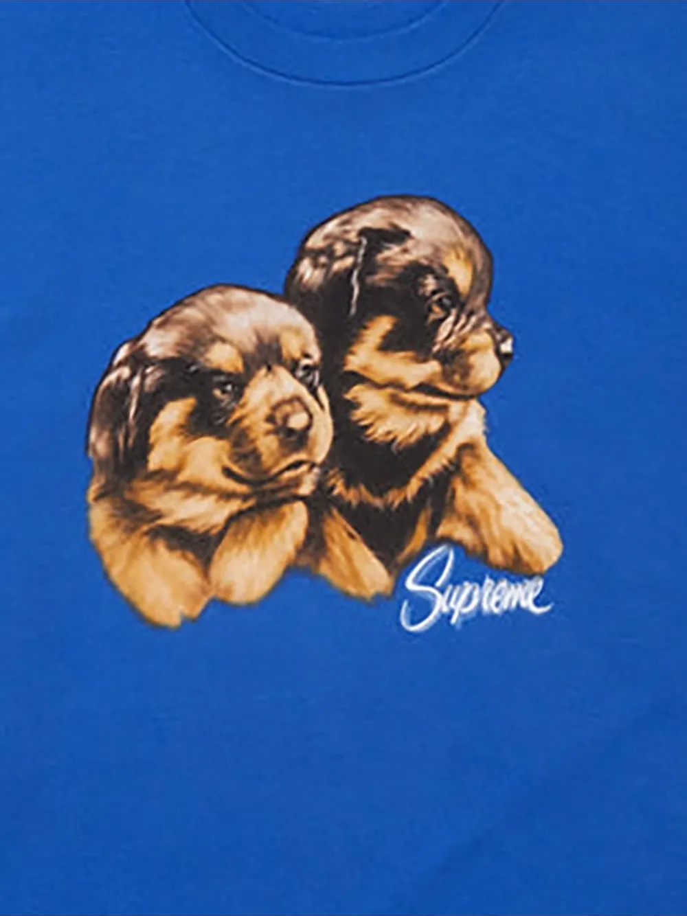 Supreme T-shirt met puppies-print Blauw