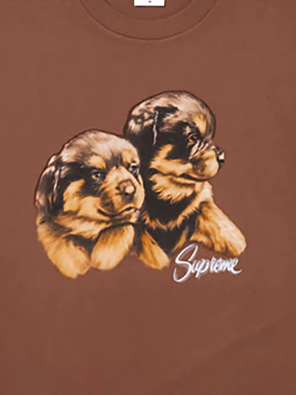 Supreme Puppies graphic-print T-shirt Bruin