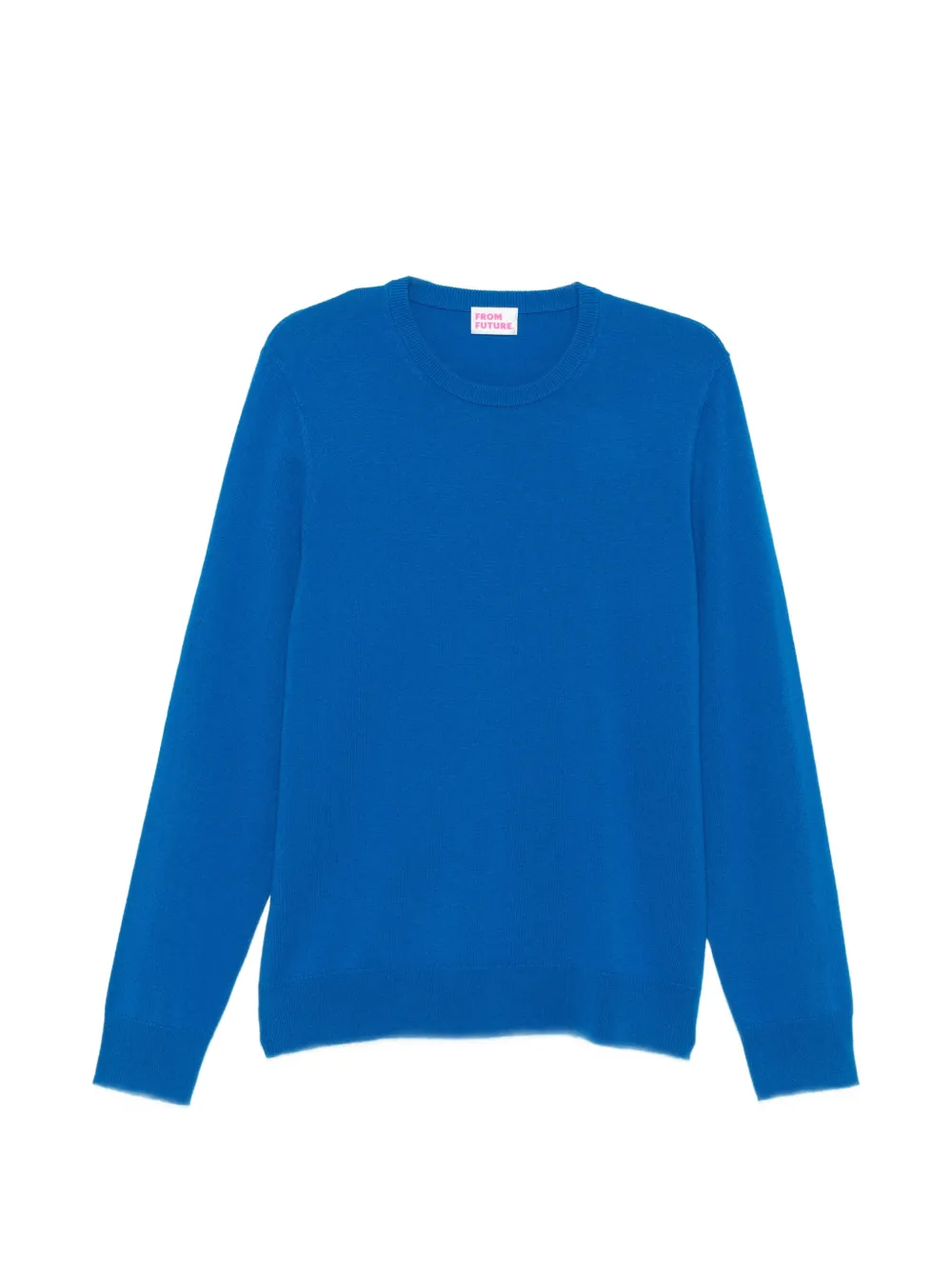 From Future Crew-neck Long-sleeve Sweater In Blue