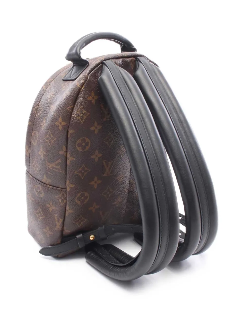 Louis Vuitton Pre-Owned 2019 Monogram Palm Springs PM rugzak Bruin