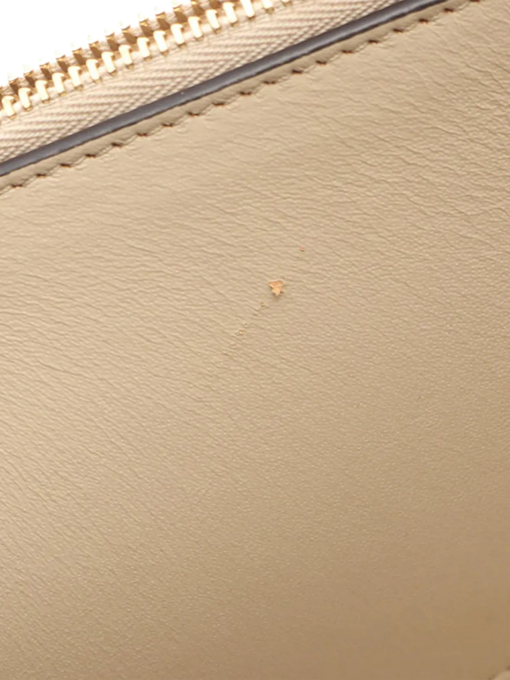 Celine Pre-Owned 2000-2026 Frame schoudertas Beige
