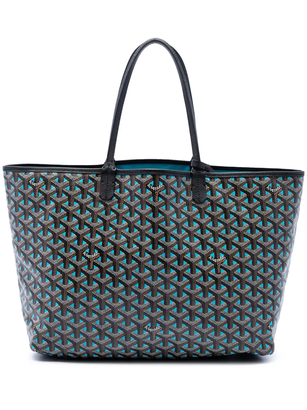 Goyard Pre-Owned 2019 Goyardine Claire Voie Saint Louis PM tote bag - Nero
