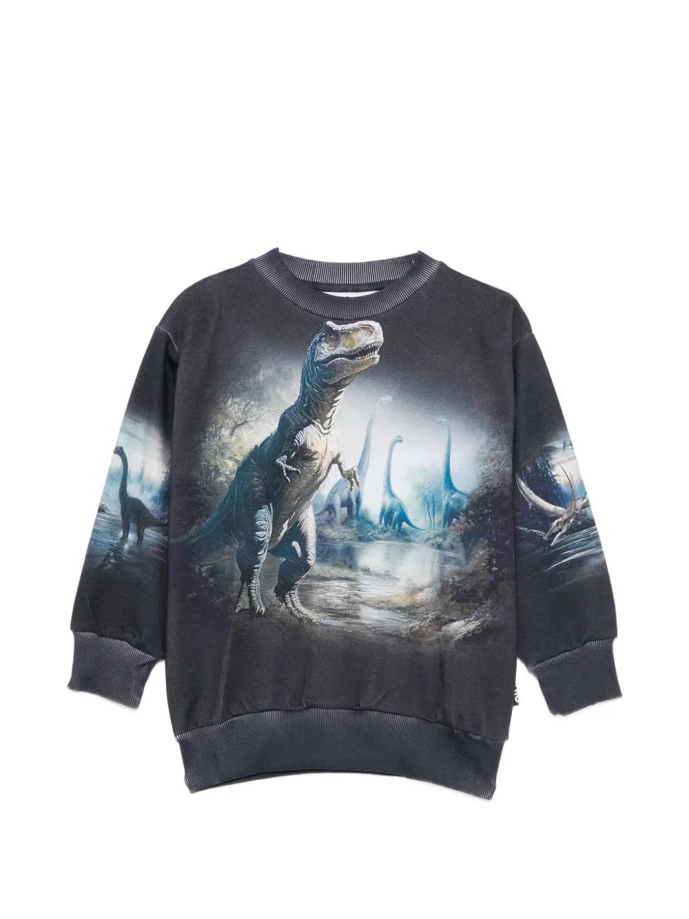 Molo Mattis dinosaur-print sweater - Blu