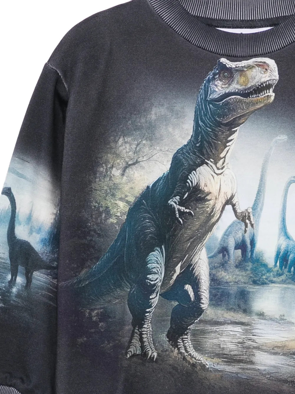 Molo Mattis trui met dinosaurus-print Blauw