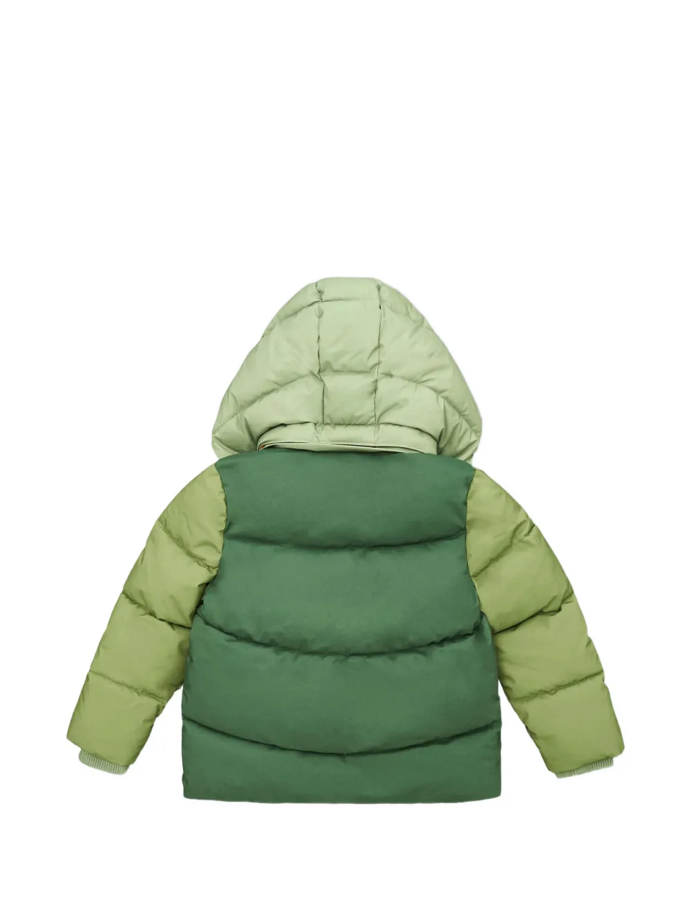 Roarsome Jack met capuchon Groen