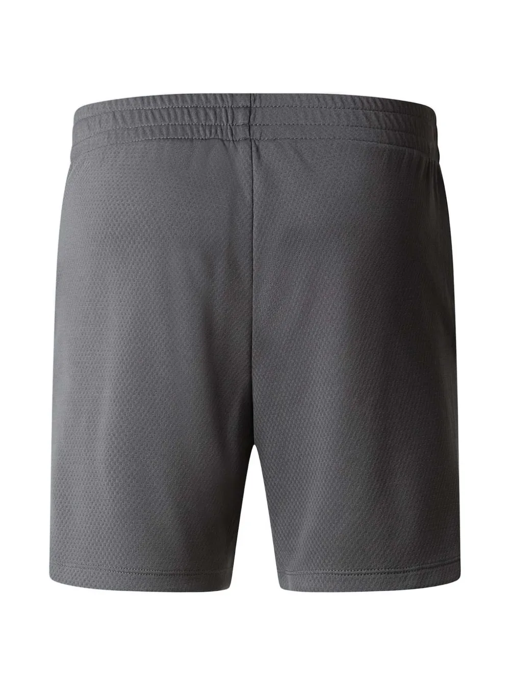 The North Face logo-print mesh shorts Grijs