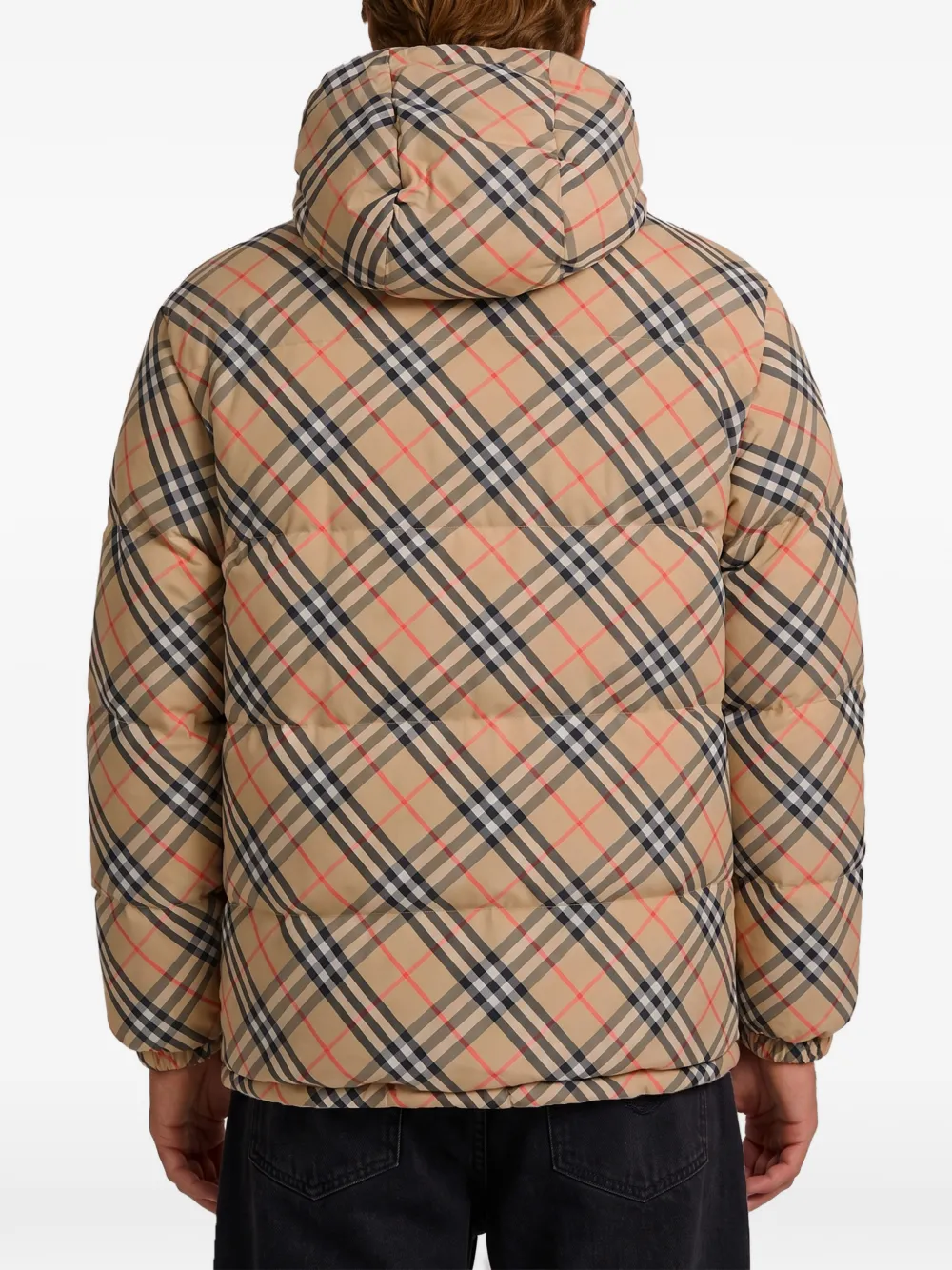 Burberry Omkeerbaar Snowdonia Check donsjack Beige