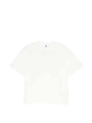 Ader Error