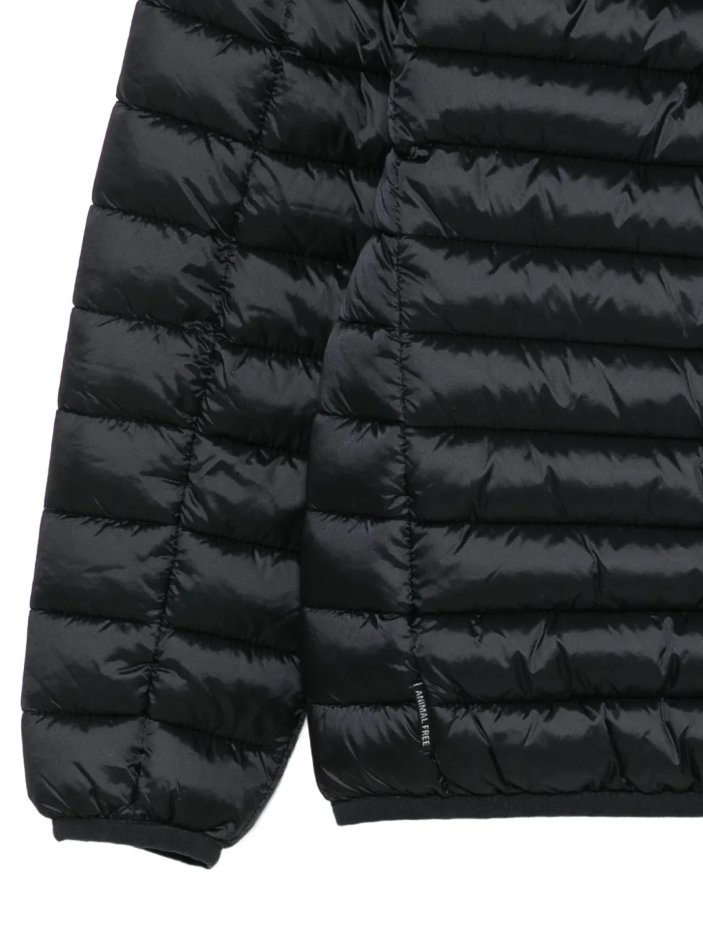 Save The Duck Kids Giubbini gewatteerd jack met capuchon Zwart