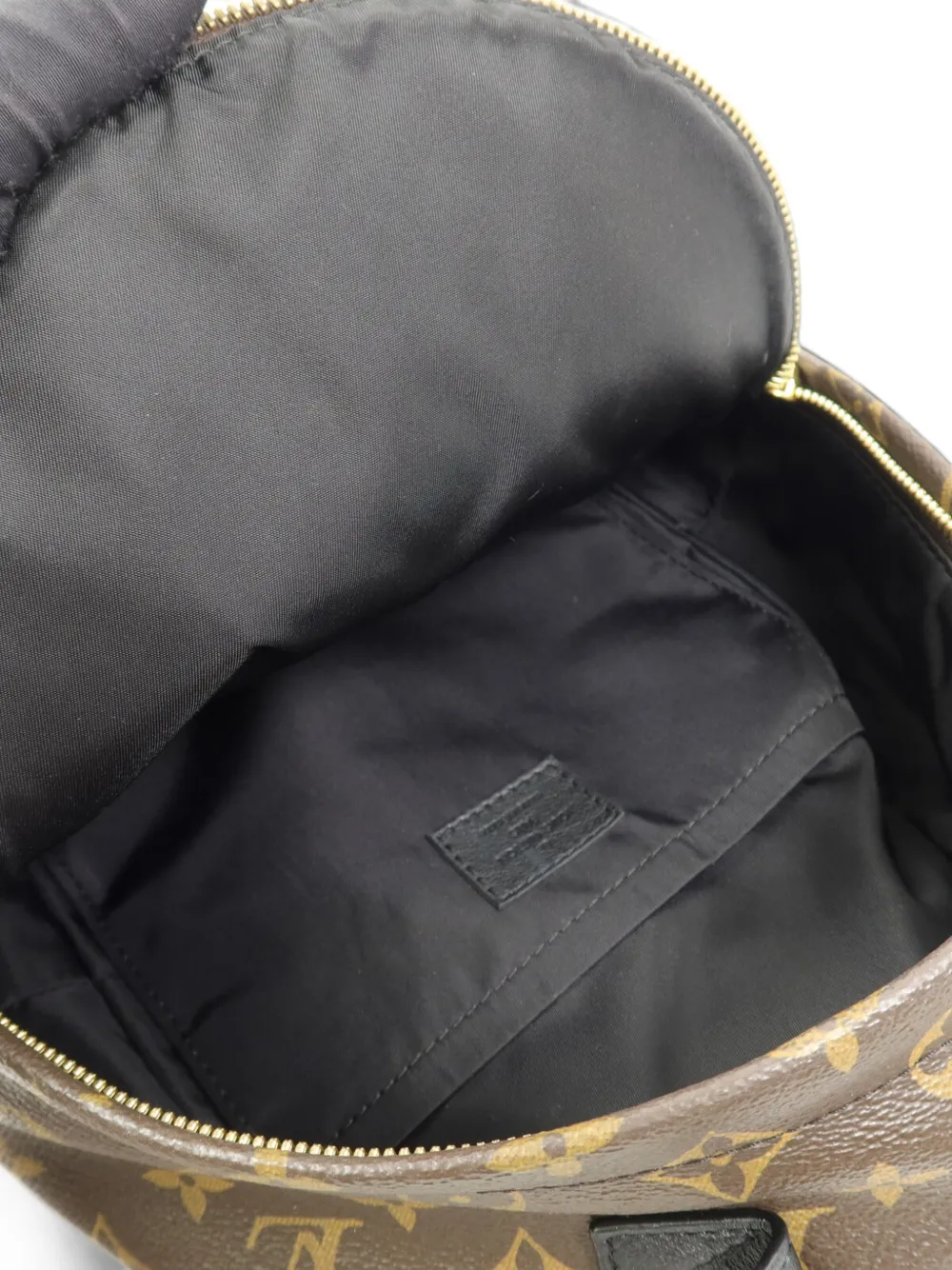 Louis Vuitton Pre-Owned Palm Springs canvas rugzak met monogram Bruin