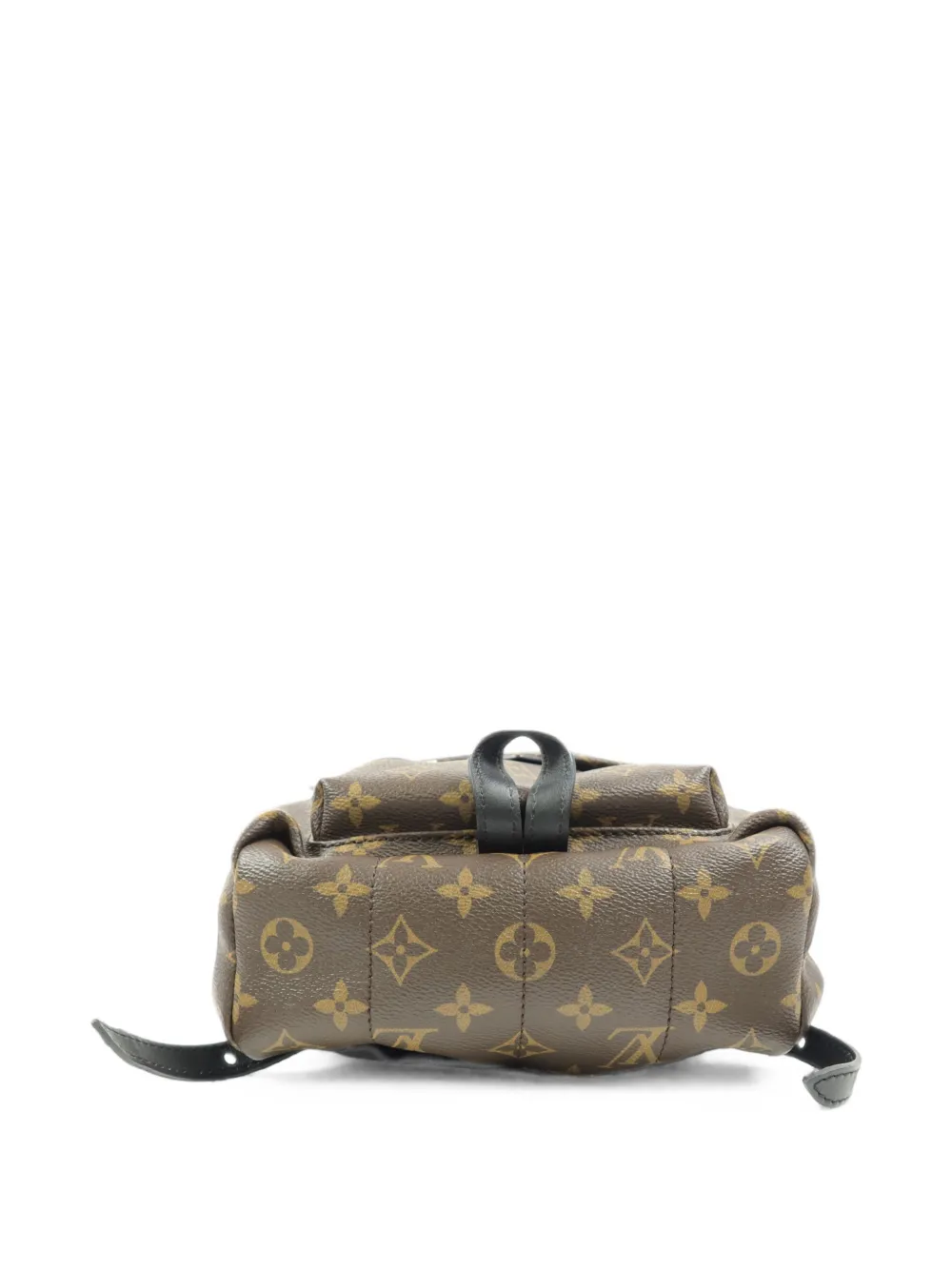 Louis Vuitton Pre-Owned Palm Springs canvas rugzak met monogram Bruin