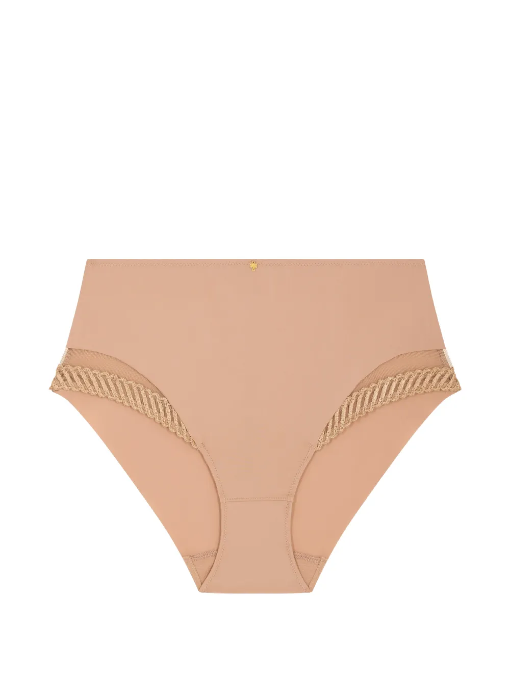 Aubade Sheer Emotion embroidered briefs