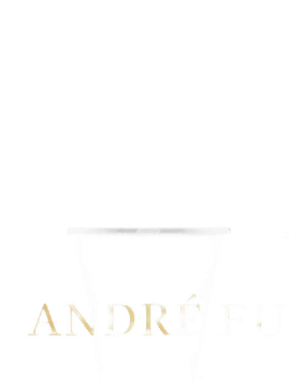 Assouline André Fu A Designer's Vision Book In 브라운