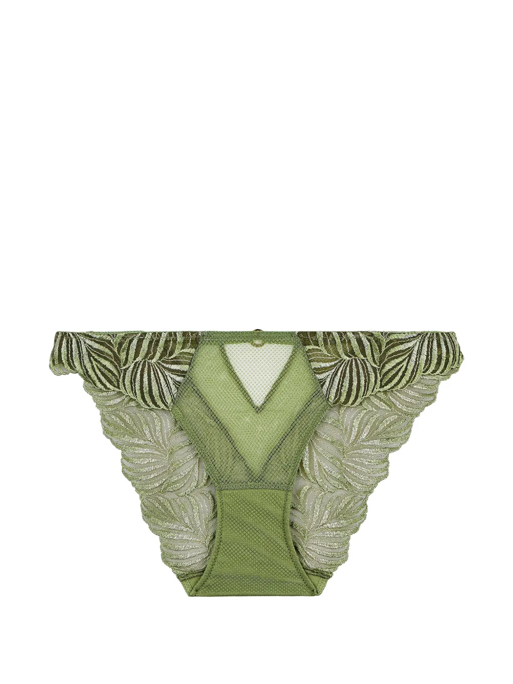 Aubade Paradis Exotique embroidered briefs