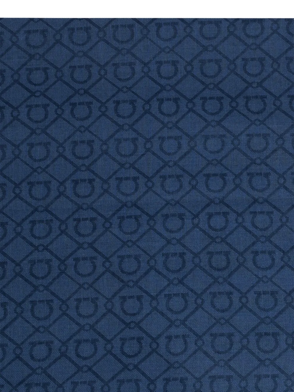 Ferragamo Saal verfraaid met logo Blauw