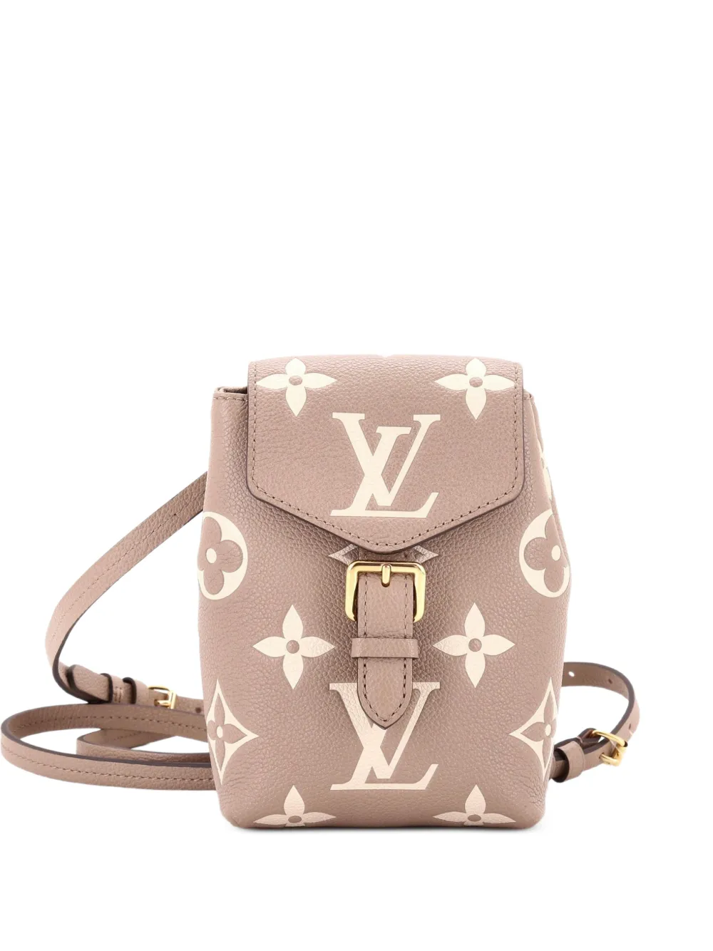 Louis Vuitton Pre-Owned Tiny Bicolor Monogram Empreinte Giant backpack - Brown