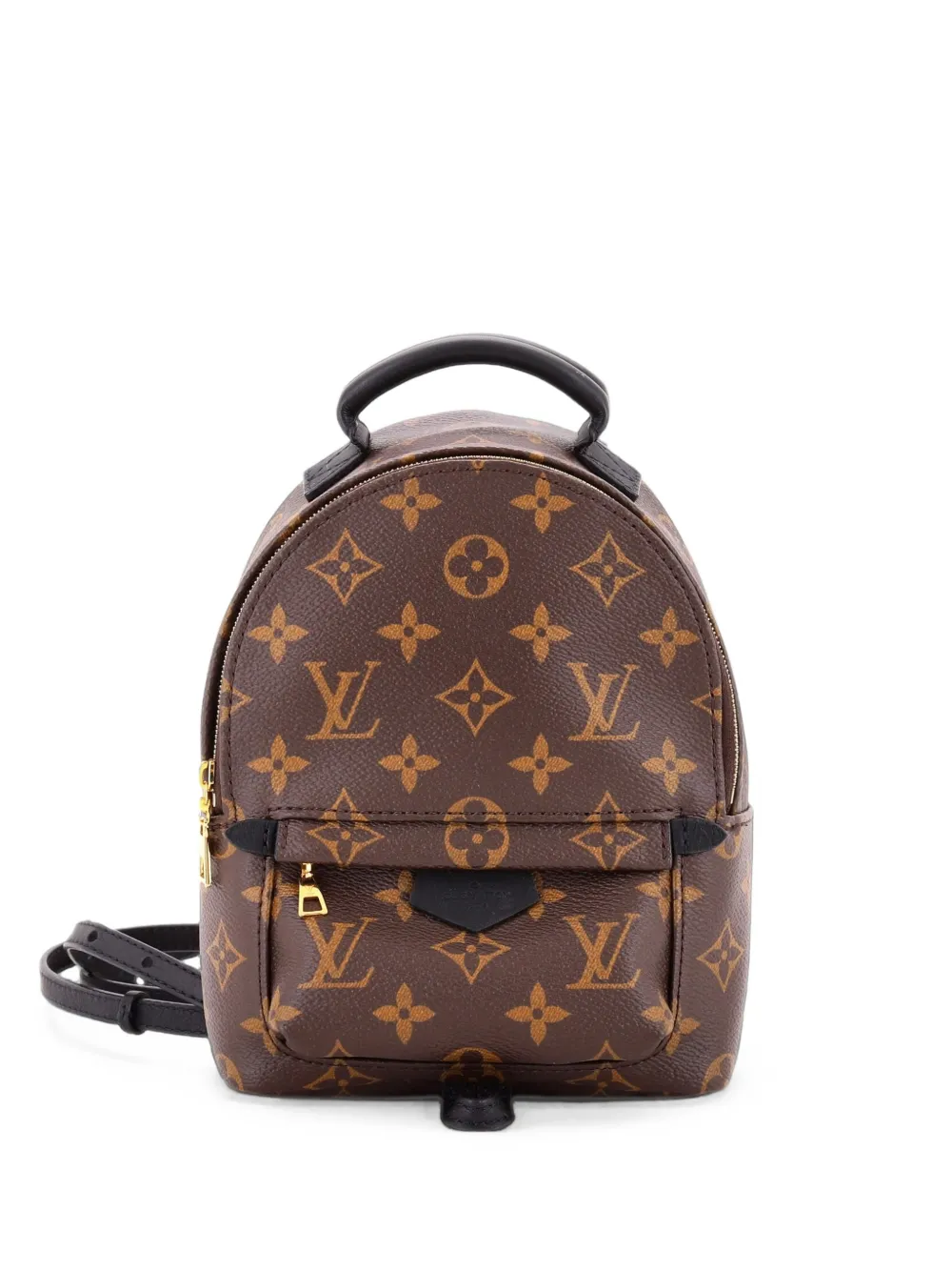 Louis Vuitton Pre-Owned Palm Springs Monogram Canvas Mini backpack - Marrone