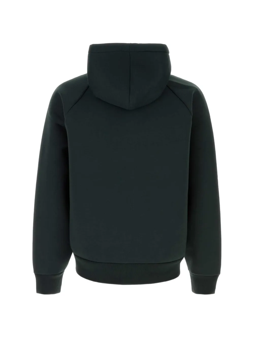 Carhartt WIP Car-Lux hoodie Groen