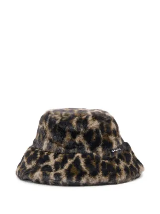 Molo