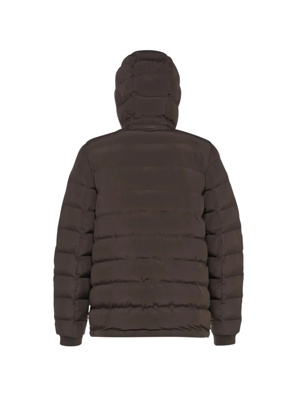 Geox Spherica gewatteerd jack met capuchon Bruin