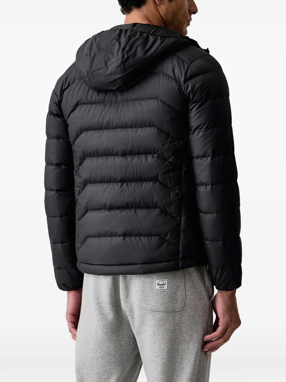 JACK WOLFSKIN Wild Pass Down quilted hooded jacket Zwart