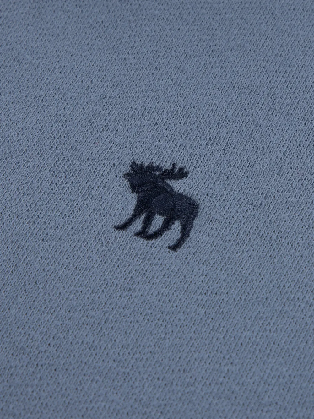 ABERCROMBIE FITCH KIDS Crafted Graphic jersey hoodie met geborduurd logo Blauw
