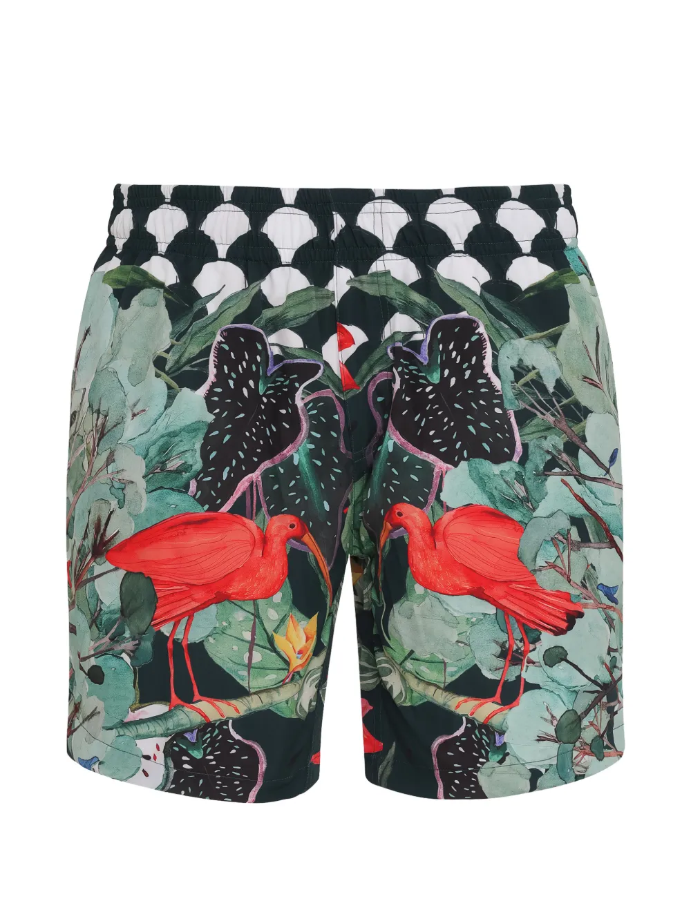 Amir Slama ibis-print swim shorts - Verde