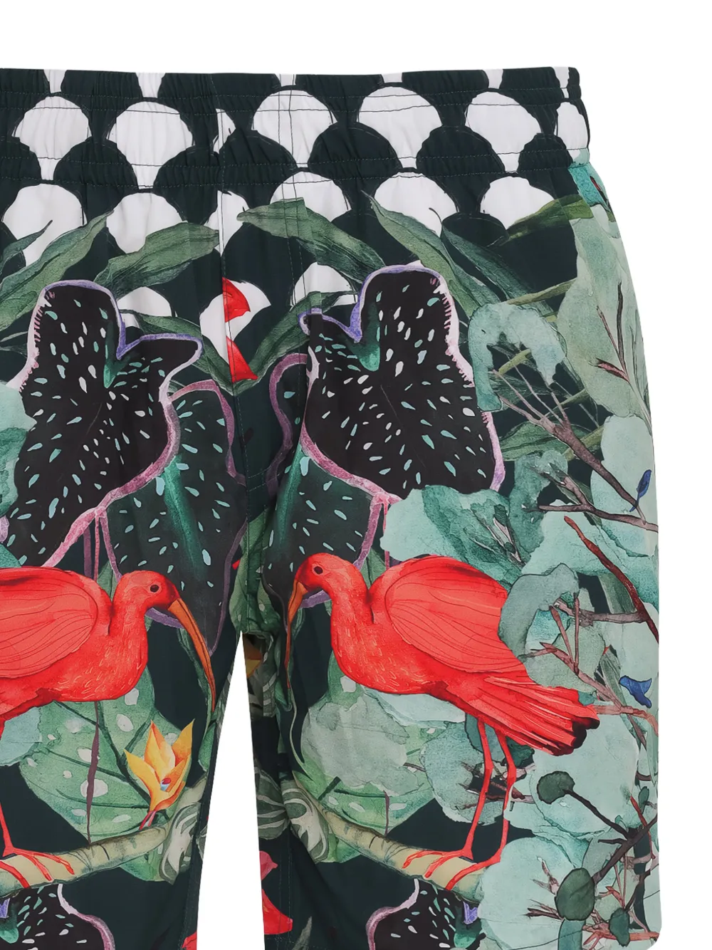Amir Slama x Avatim zwembroek met ibis-print Groen